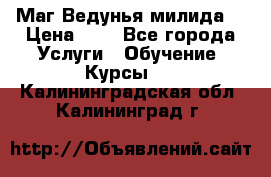 Маг Ведунья милида  › Цена ­ 1 - Все города Услуги » Обучение. Курсы   . Калининградская обл.,Калининград г.